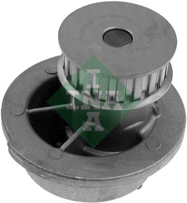 Schaeffler INA 538 0313 10 Water Pump, engine cooling