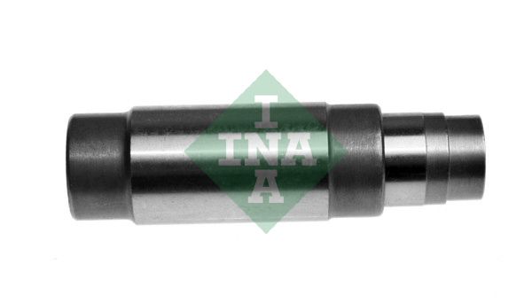 Schaeffler INA 551 0066 10 Tensioner, timing chain