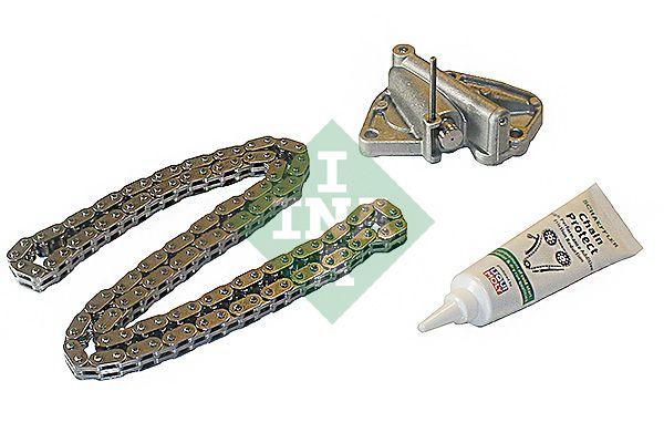Schaeffler INA 559 1006 10 Timing Chain Kit