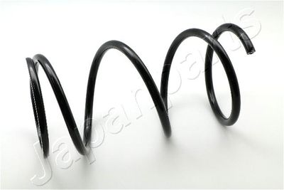 Suspension Spring JAPANPARTS ZC3137D