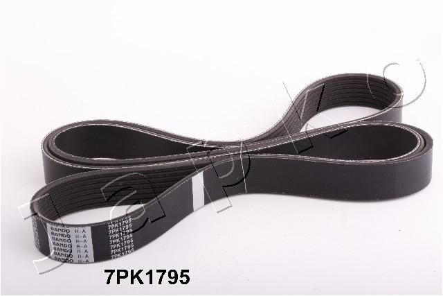 JAPKO 7PK1795 V-Ribbed Belt