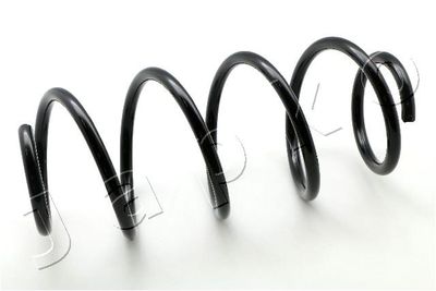 Suspension Spring JAPKO ZCJ1713H