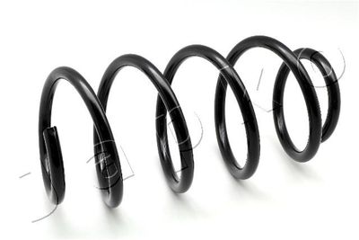 Suspension Spring JAPKO ZCJ2953H