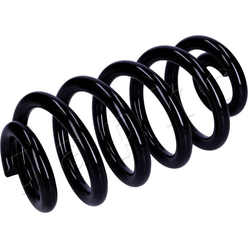 JAPKO ZCJ90395 Suspension Spring