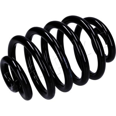 Suspension Spring JAPKO ZCJ90575