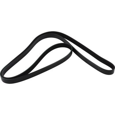 JP GROUP 1218105200 V-Ribbed Belt