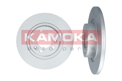 Brake Disc KAMOKA 1031050