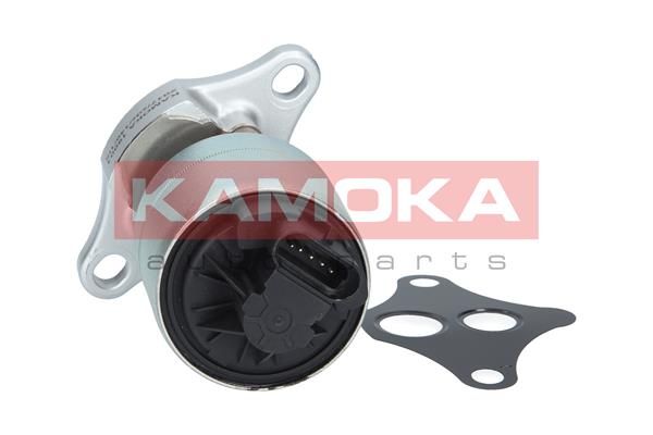 KAMOKA 19001 EGR Valve