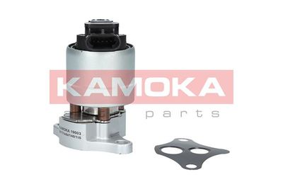 EGR Valve KAMOKA 19003