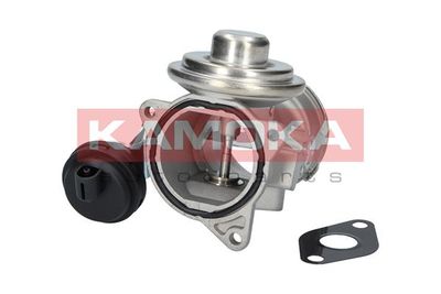 EGR Valve KAMOKA 19026