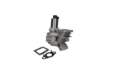 EGR Valve KAMOKA 19031