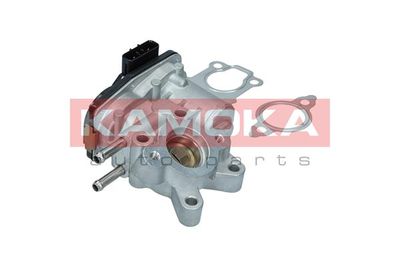 EGR Valve KAMOKA 19054