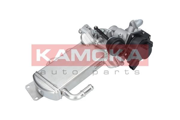 KAMOKA 19068 EGR Module