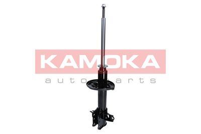 Shock Absorber KAMOKA 2000169