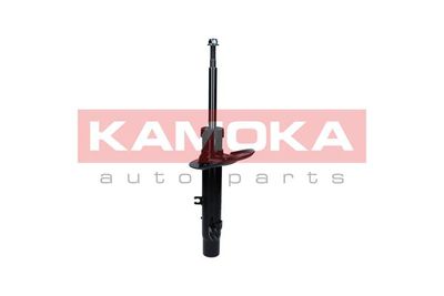 Shock Absorber KAMOKA 2000183