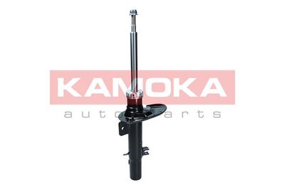 Shock Absorber KAMOKA 2000188