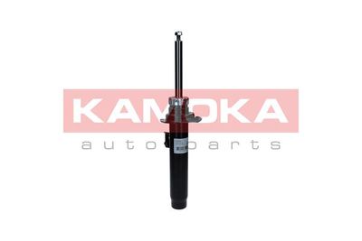 Shock Absorber KAMOKA 2000342