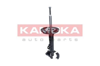 Shock Absorber KAMOKA 2000486
