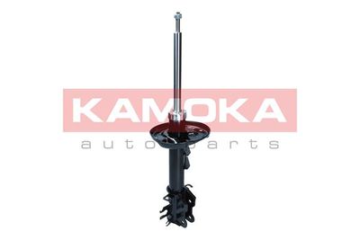 Shock Absorber KAMOKA 2001094