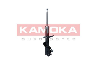 Shock Absorber KAMOKA 2001098