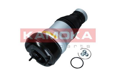 Air Spring, suspension KAMOKA 2079056