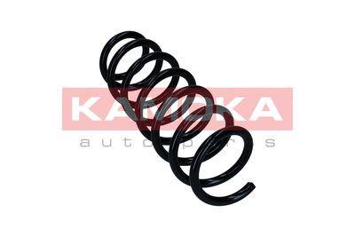 Suspension Spring KAMOKA 2110419