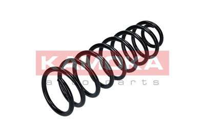 Suspension Spring KAMOKA 2120079