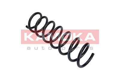 Suspension Spring KAMOKA 2120162