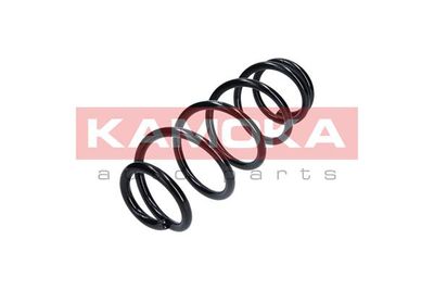 Suspension Spring KAMOKA 2120163