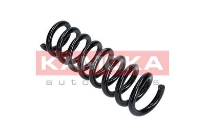 Suspension Spring KAMOKA 2120179