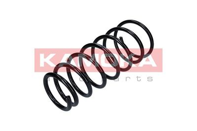 Suspension Spring KAMOKA 2120232