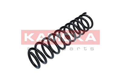 Suspension Spring KAMOKA 2120238