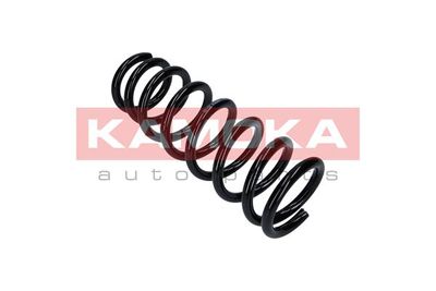 Suspension Spring KAMOKA 2120289
