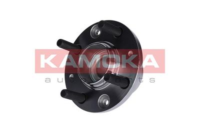 Wheel Bearing Kit KAMOKA 5500014