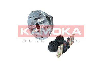 Wheel Bearing Kit KAMOKA 5500054