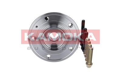 Wheel Bearing Kit KAMOKA 5500067