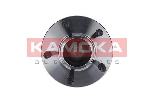 KAMOKA 5500098 Wheel Bearing Kit