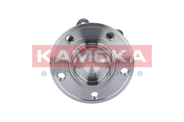 KAMOKA 5500099 Wheel Bearing Kit