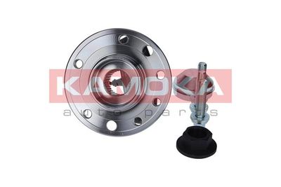 Wheel Bearing Kit KAMOKA 5500137