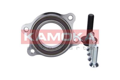 Wheel Hub KAMOKA 5500153