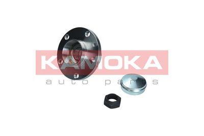Wheel Bearing Kit KAMOKA 5500169