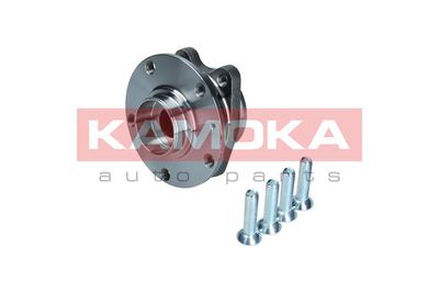 Wheel Bearing Kit KAMOKA 5500175