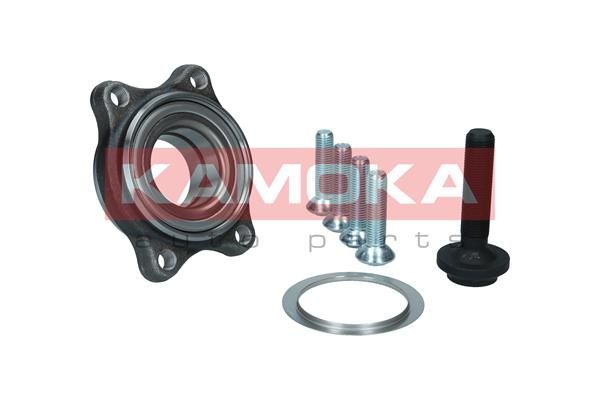 KAMOKA 5500176 Wheel Bearing Kit