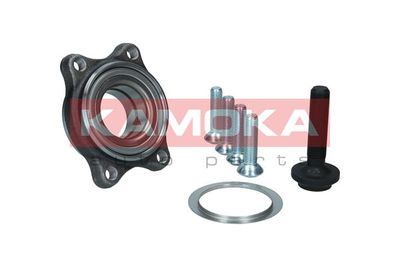 Wheel Bearing Kit KAMOKA 5500176