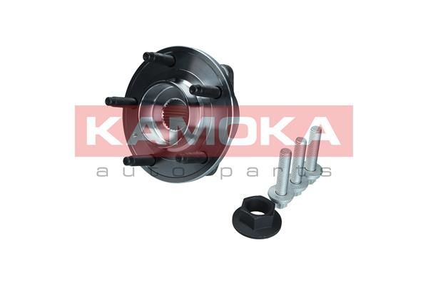 KAMOKA 5500199 Wheel Bearing Kit