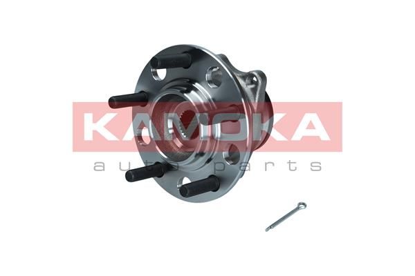 KAMOKA 5500209 Wheel Bearing Kit