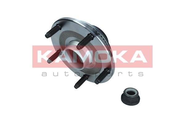 KAMOKA 5500253 Wheel Bearing Kit