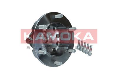 Wheel Bearing Kit KAMOKA 5500255