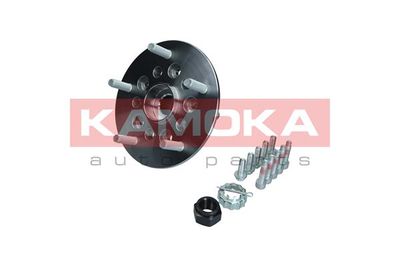 Wheel Bearing Kit KAMOKA 5500256