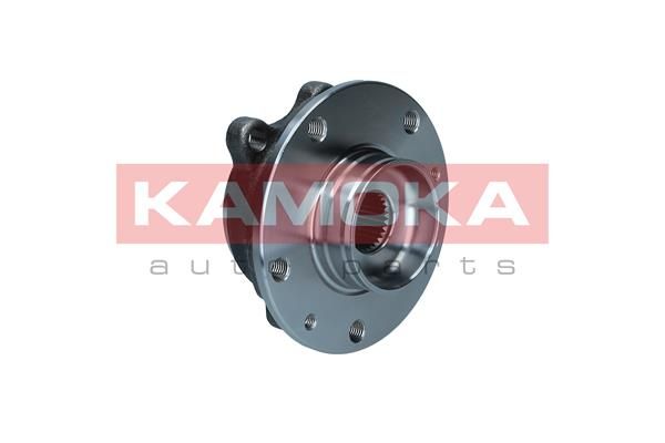 KAMOKA 5500324 Wheel Bearing Kit